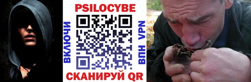 купить   Южноуральск  Псилоцибиновые грибы ЛСД 