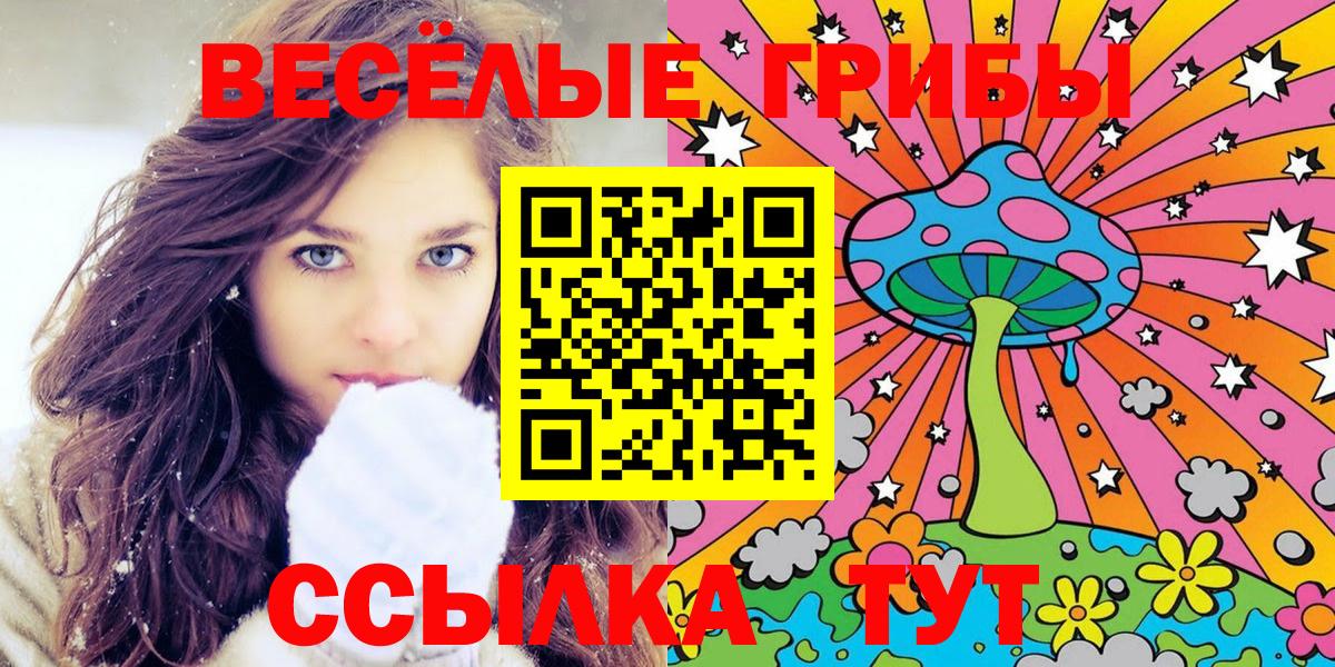 продажа наркотиков  Галлюциногенные грибы Cubensis  Вход с VPN  Южноуральск 